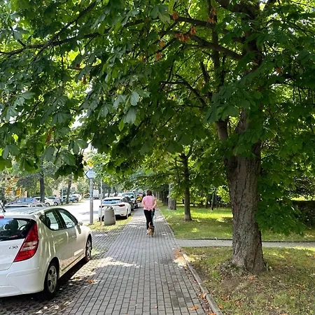 Pan Tadeusz Rzeszów