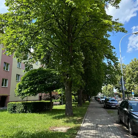 Pan Tadeusz * Ряшів