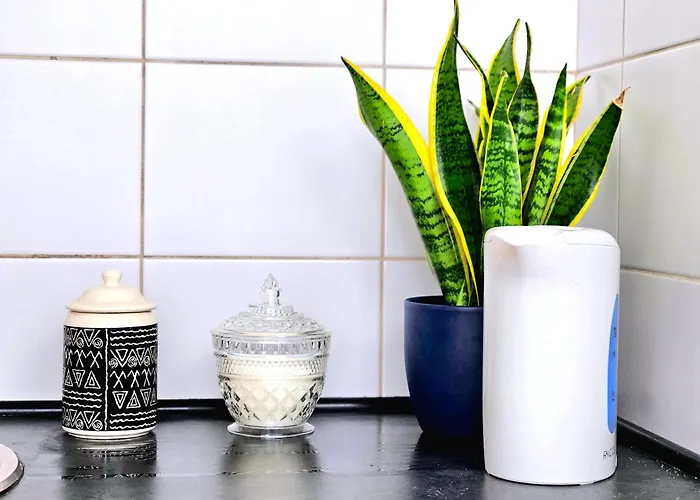 Апартаменти Pan Tadeusz Ряшів