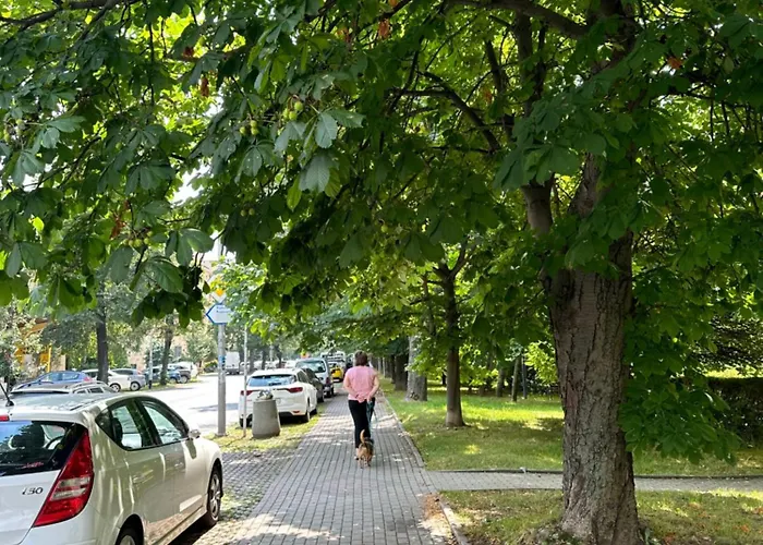 Pan Tadeusz Rzeszów