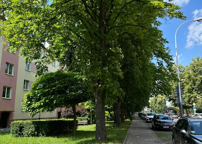 Pan Tadeusz * Ряшів